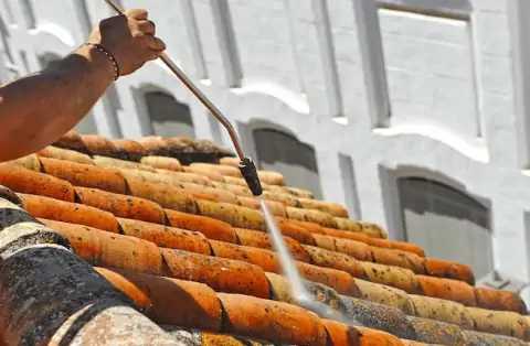 Nettoyage de toitures - Ternand